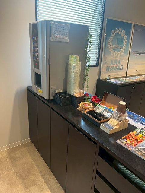 ANAスカイコネクト難波　　(ANA WORK CABIN) (5).jpg