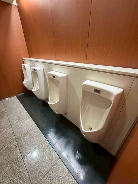 中之島セントラルタワー (18).jpg