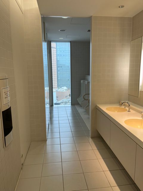 ブリーゼタワー (21).jpg