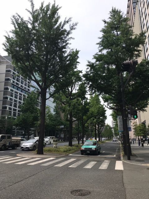 京阪神御堂筋_190516_0003.jpg