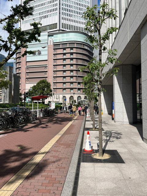 清和梅田 (1).jpg