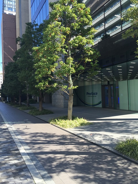 シュナイダーエレクトリック大阪ビル (4).JPG