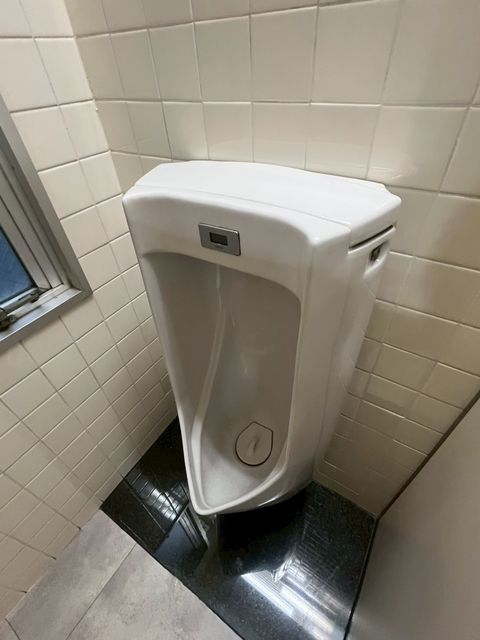 銀泉桜橋 (2).jpg