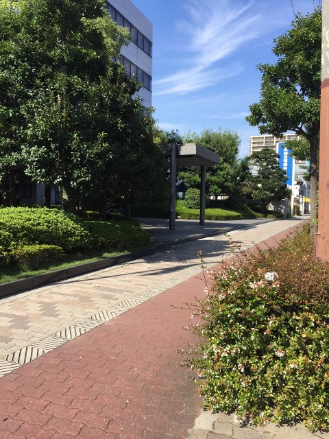 みてじまグリーンビル_1729.jpg