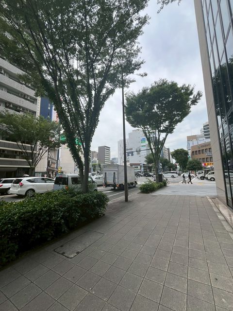 新日本 (18).jpg