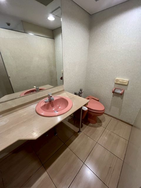 三共日本橋 (1).jpg