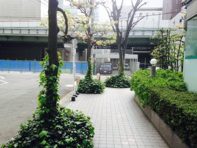 S__2007262.jpg
