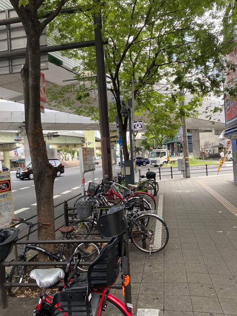 20200910_200910_18.jpg