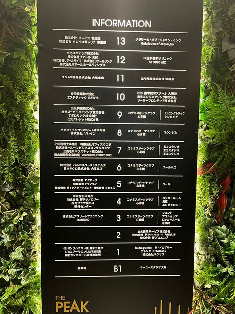 THE PEAK SHINSAIBASHI_ (12).jpg