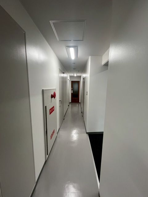 銀泉桜橋 (6).jpg