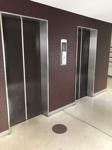 新日本三ツ寺_190212_0014.jpg