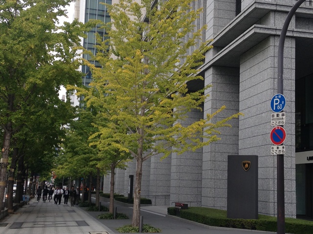 本町南ガーデン (1).JPG