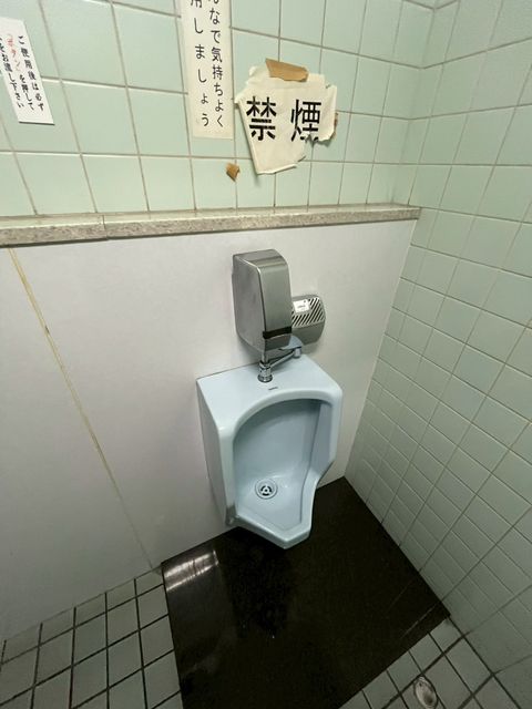 長堀佐野 (15).jpg