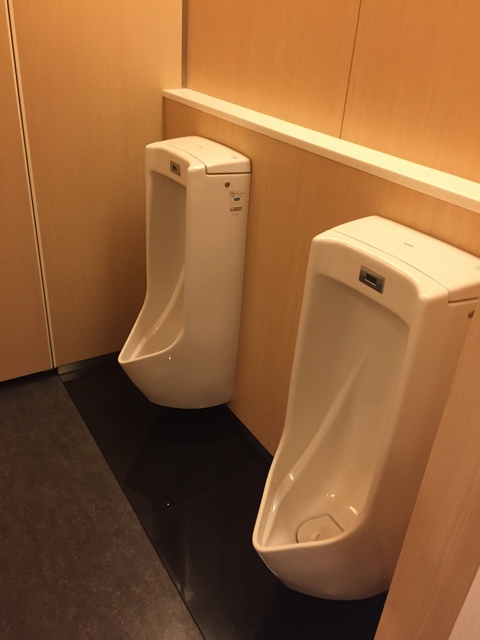 淀屋橋フレックスタワー7月8日 (1).JPG