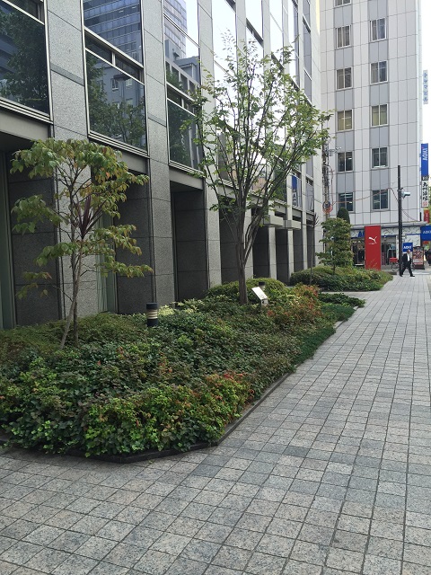 野村不動産大阪ビル (4).JPG