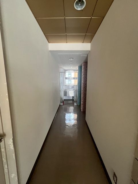 花原第3 (10).jpg