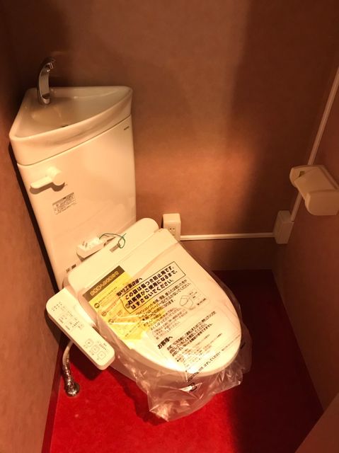 新日本三ツ寺_190212_0009.jpg